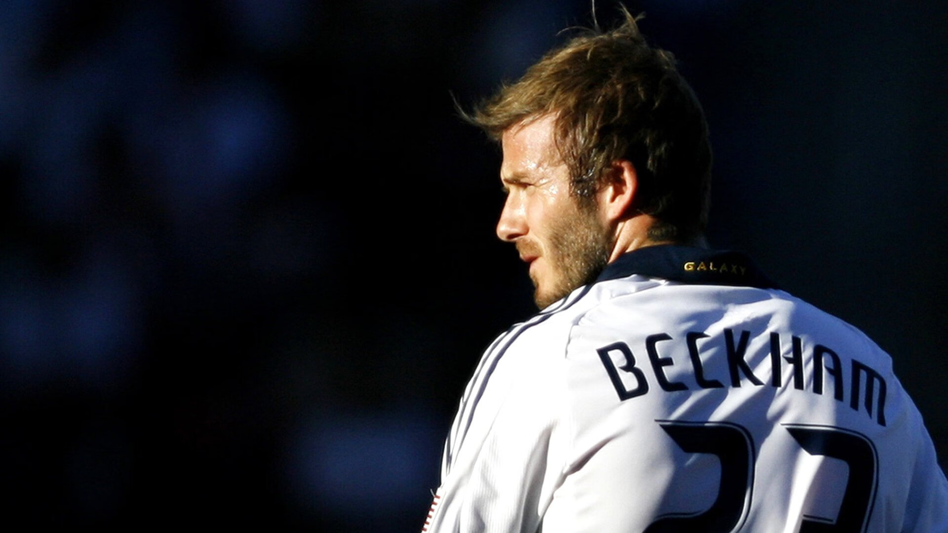 CBA联赛观众人数明显增加