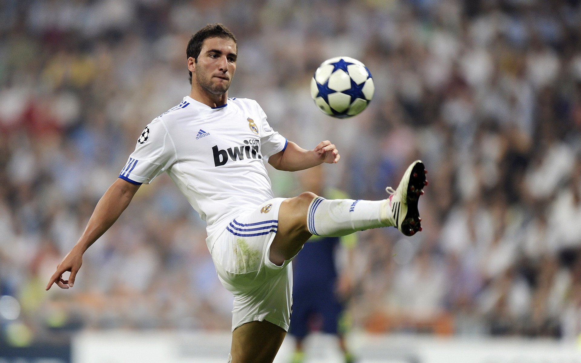 “年度最佳运动团队奖” 纳入公司文化表彰体系